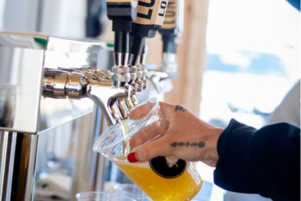 Lone pine brewing