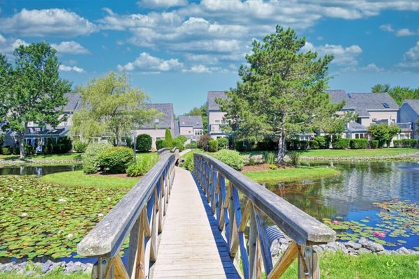 Ocean park meadows #93