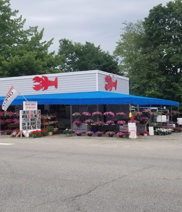 Emggf90iqscmt7vxox3b 2 28d9f03b