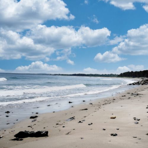 Private Beach Access | Crescent Surf