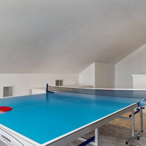 Ping pong available