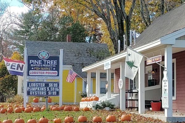 Pine tree seafood & produce co.