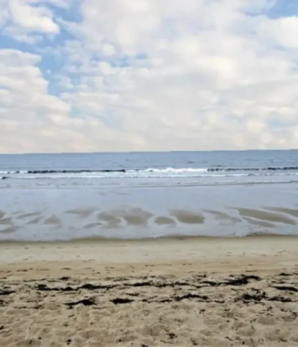 09965ed5 d9ce 4613 b2aa 8283b18fff7a 3a99edf8 2. Webp 2 84ed75ef