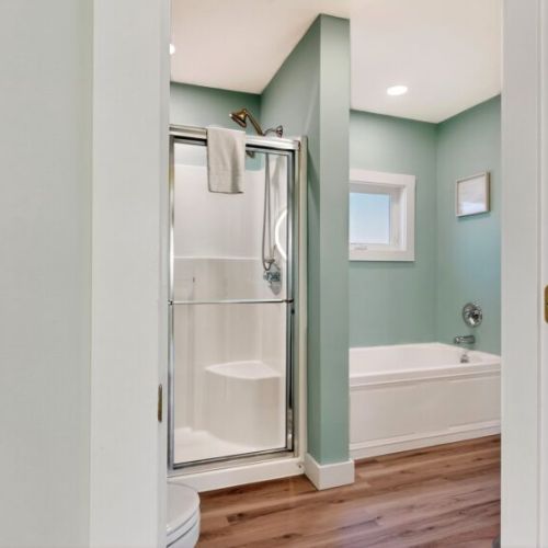 Full shower + stand alone tub