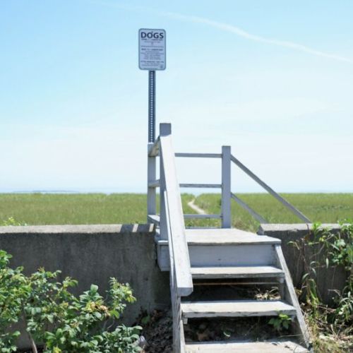 Just steps to the beach path