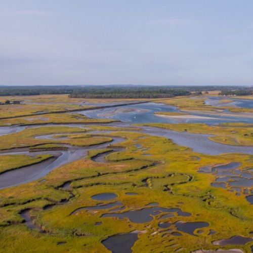 Breathtaking marsh