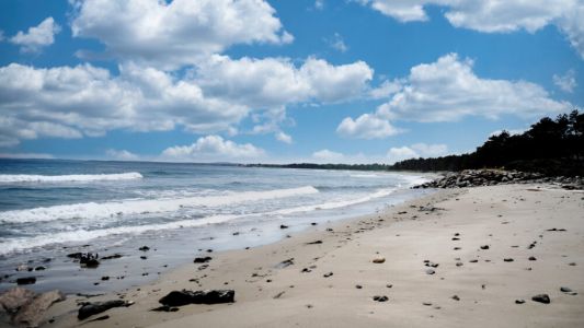 4c472909 6554 40bd 84ed cff7ebdb66fc 9f7b084e