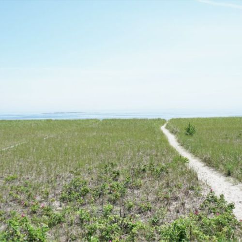 Path to the beach from sea rose lane