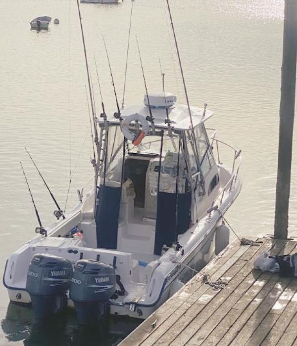 ayqc0L2FRb7p9wTes7pA a7b875fb