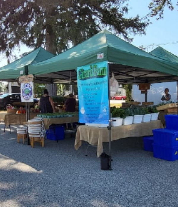 Hsjgrq5msns1xjvrhnte 2 abd2ef28