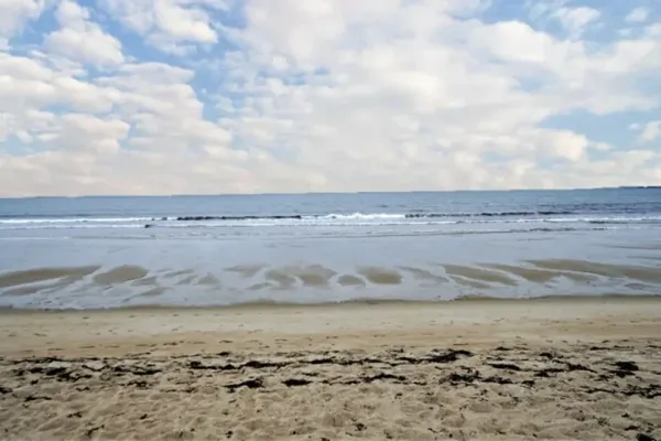 Area Guide 16 Maine-ly waves