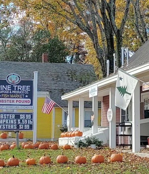 E0mhkw0ytjaptsil4mdw 3 b558bb48