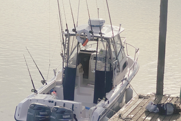 Reel salty charters maine