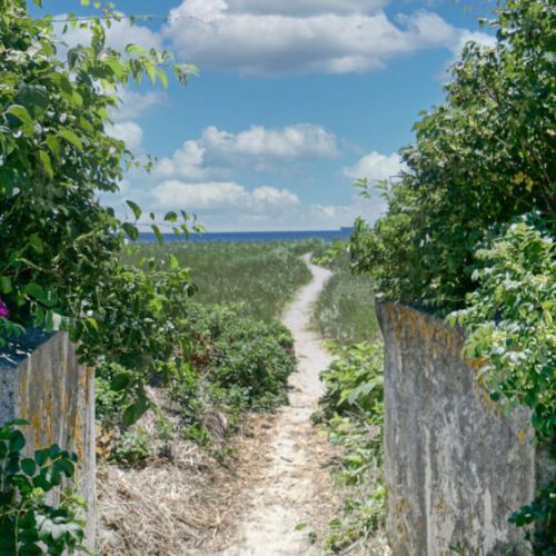 Path to beach