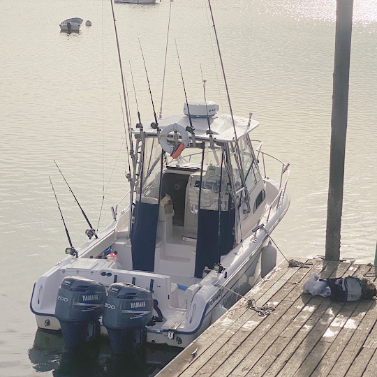 Reel Salty Charters Maine Bayley Vacation Rentals